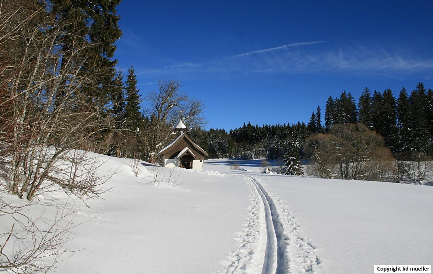 Haus Am Waldrand Villa Triberg im Schwarzwald Exterior photo