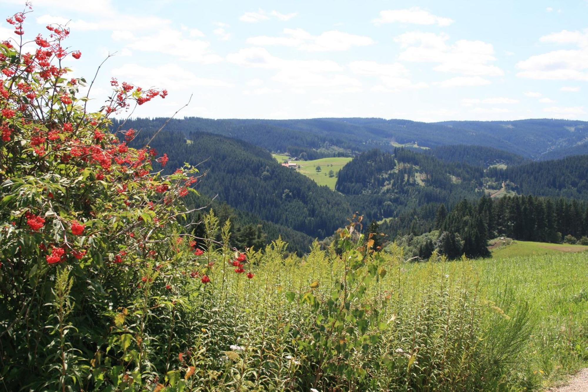 Haus Am Waldrand Villa Triberg im Schwarzwald Exterior photo